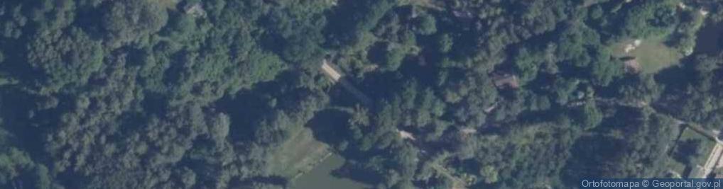 Zdjęcie satelitarne amriF.pl