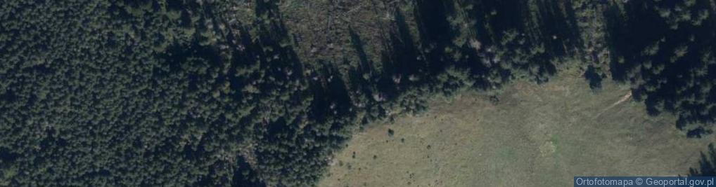 Zdjęcie satelitarne Jamska Czuba
