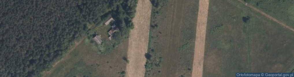 Zdjęcie satelitarne Adamów (gmina Żarnów)