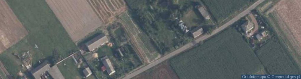 Zdjęcie satelitarne Adamów (powiat gostyniński)
