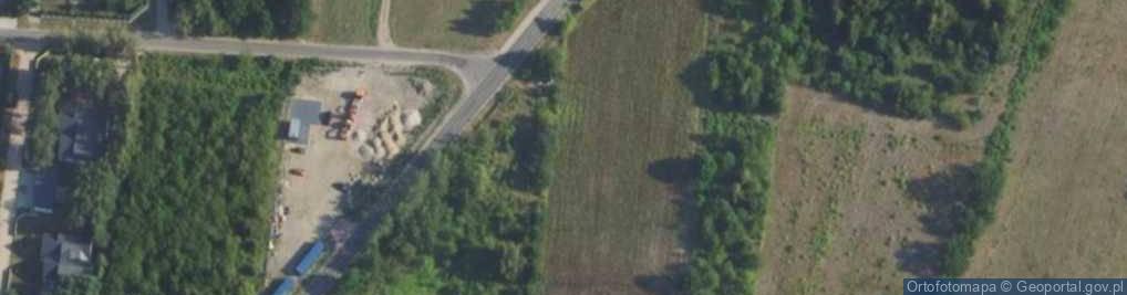 Zdjęcie satelitarne Adamów (powiat grodziski)