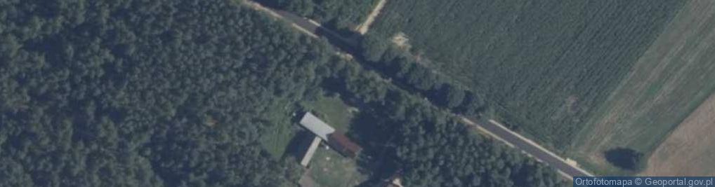 Zdjęcie satelitarne Adamów (powiat węgrowski)
