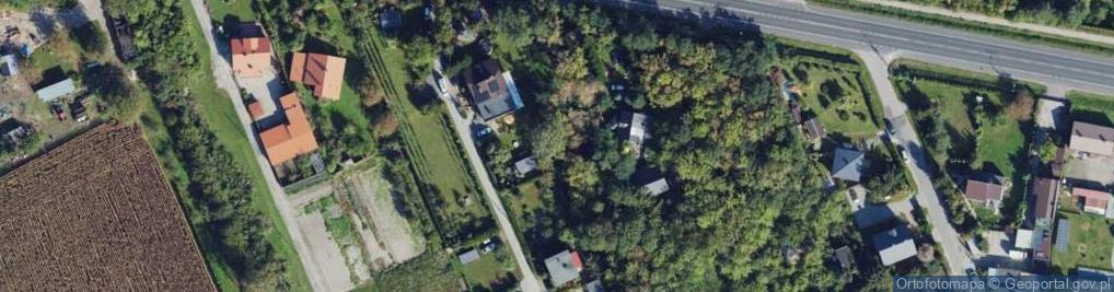 Zdjęcie satelitarne Adamowice (województwo łódzkie)