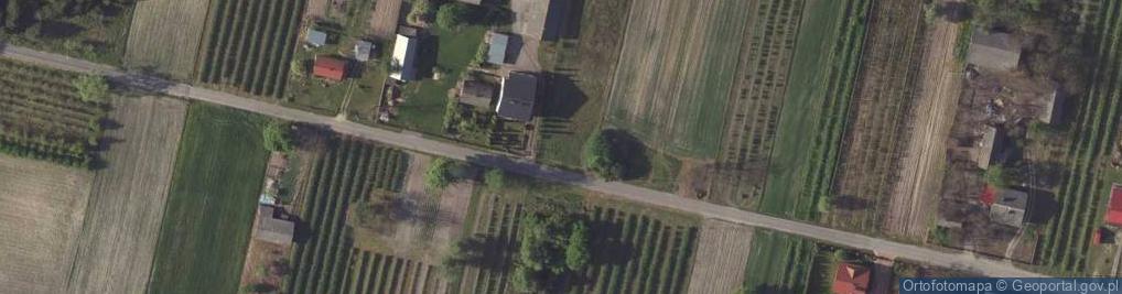 Zdjęcie satelitarne Anielin (powiat kraśnicki)