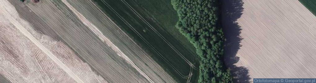 Zdjęcie satelitarne Berezówka (województwo lubelskie)