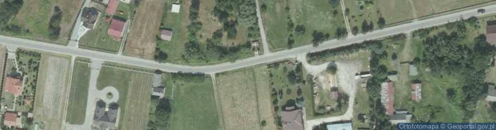 Zdjęcie satelitarne Borki (powiat staszowski)