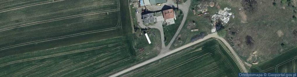 Zdjęcie satelitarne Borki (województwo lubuskie)