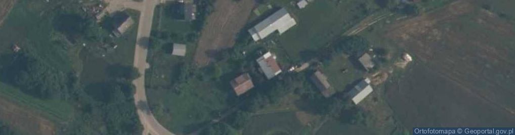 Zdjęcie satelitarne Borowina (województwo pomorskie)