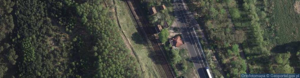 Zdjęcie satelitarne Brzoza Toruńska