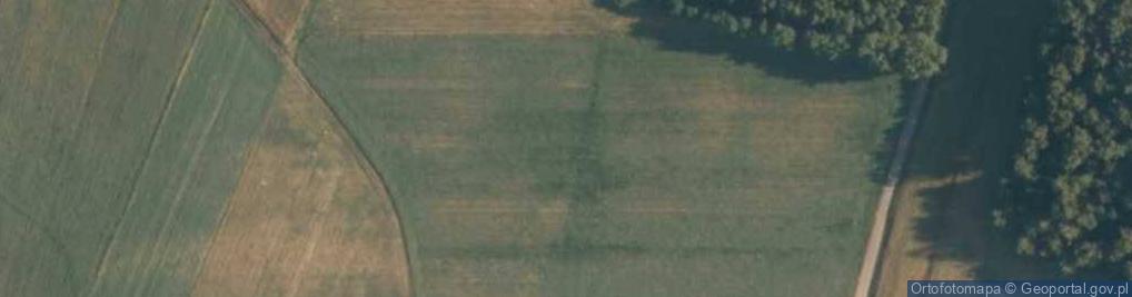 Zdjęcie satelitarne Budy Wolskie (województwo łódzkie)