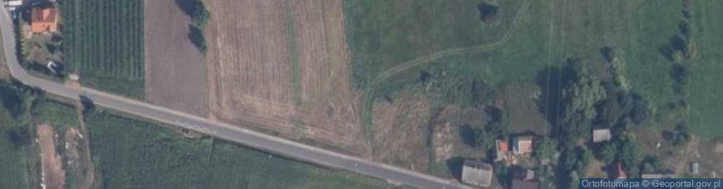 Zdjęcie satelitarne Ciszewo (województwo wielkopolskie)