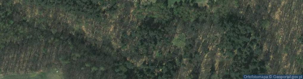 Zdjęcie satelitarne Dolina Bolechowicka