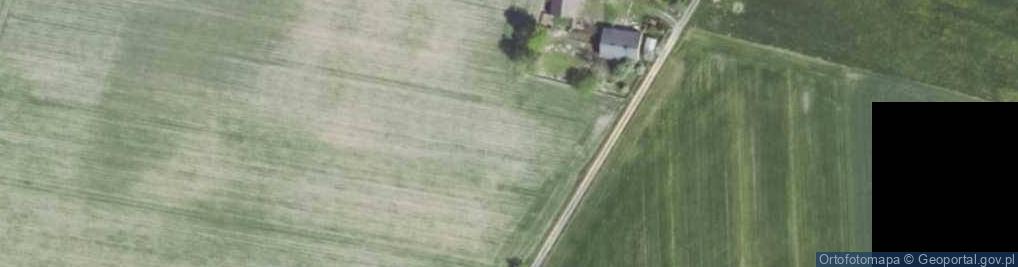 Zdjęcie satelitarne Dzielna (województwo śląskie)