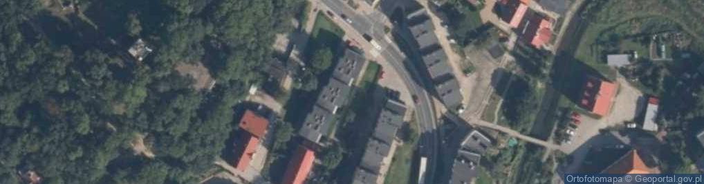 Zdjęcie satelitarne Dzierzgoń