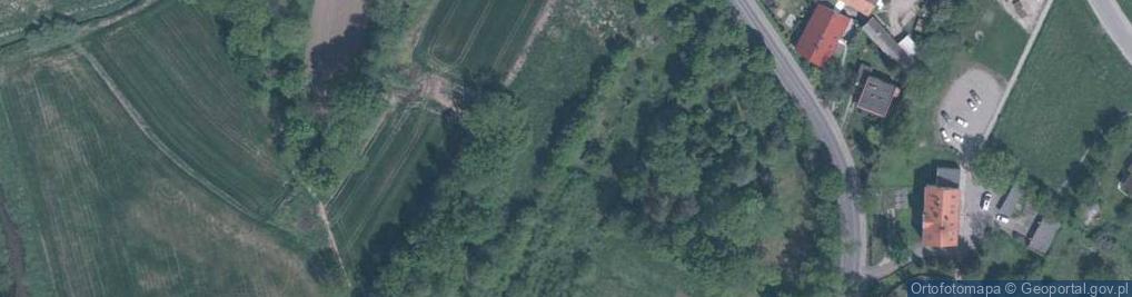 Zdjęcie satelitarne Gniechowice