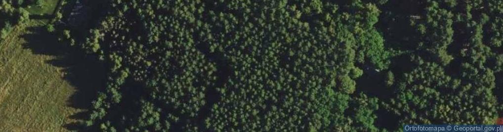 Zdjęcie satelitarne Henryków-Urocze