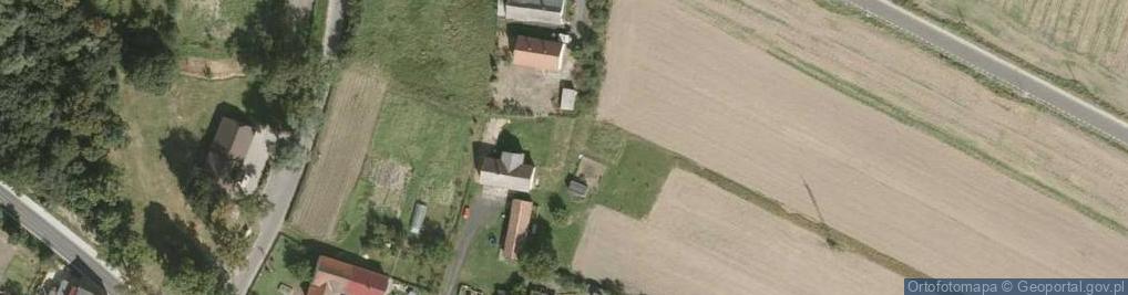 Zdjęcie satelitarne Iwiny (powiat bolesławiecki)