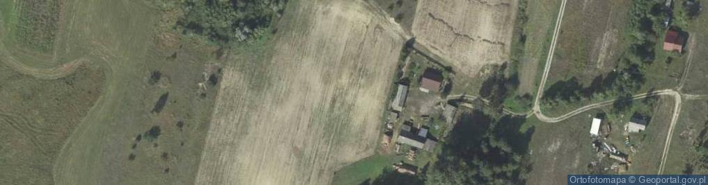 Zdjęcie satelitarne Janowica (powiat chełmski)