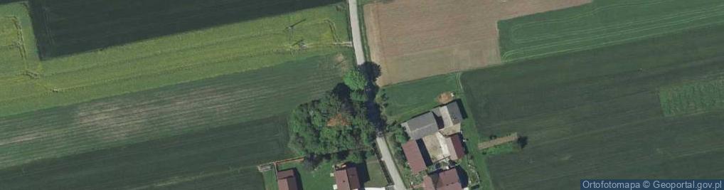 Zdjęcie satelitarne Januszowice (gmina Zielonki)