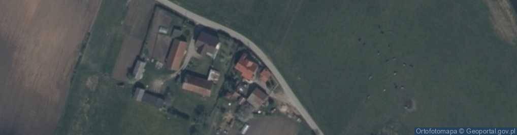 Zdjęcie satelitarne Judziki (powiat olecki)