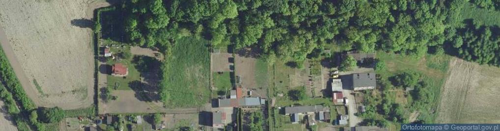 Zdjęcie satelitarne Kamieniec (powiat toruński)