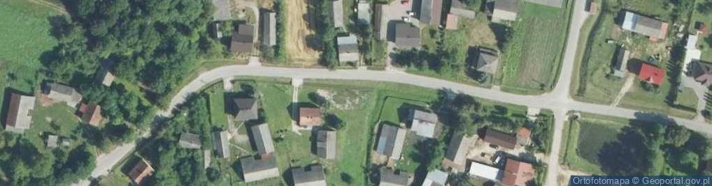 Zdjęcie satelitarne Królewice (powiat kazimierski)