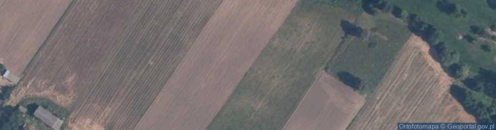Zdjęcie satelitarne Krzywie (województwo mazowieckie)