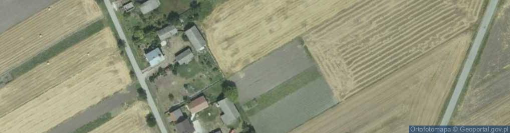 Zdjęcie satelitarne Krzyżanowice Dolne