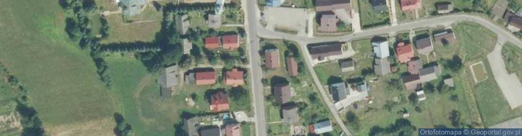Zdjęcie satelitarne Niedzieliska (województwo małopolskie)