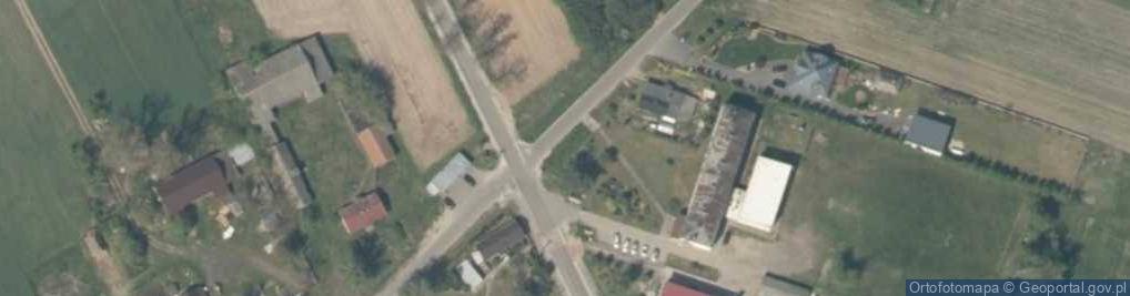 Zdjęcie satelitarne Niedźwiada (województwo łódzkie)