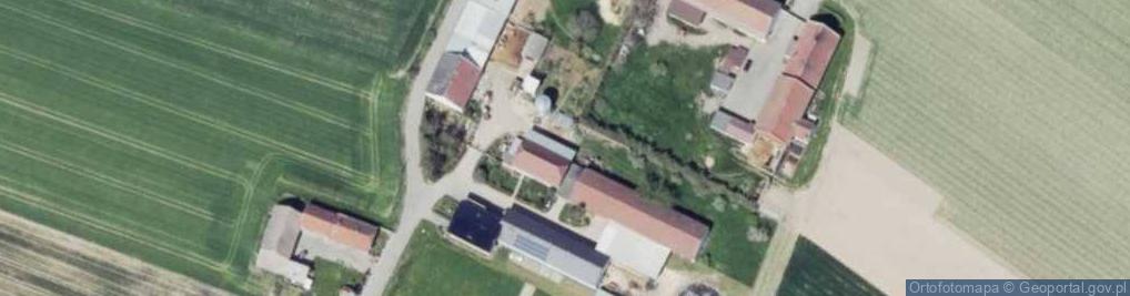 Zdjęcie satelitarne Nowe Kotkowice