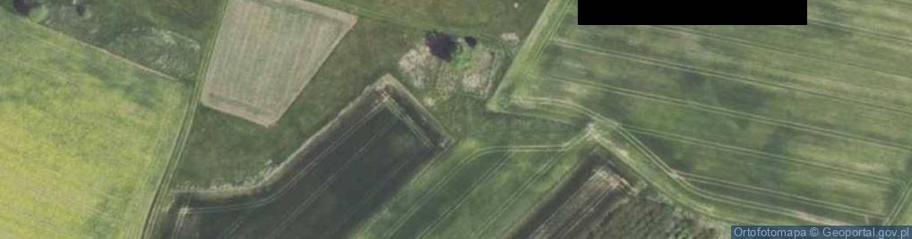 Zdjęcie satelitarne Osowiec (powiat opolski)