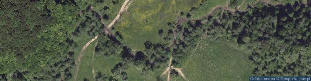 Zdjęcie satelitarne Paniszczów