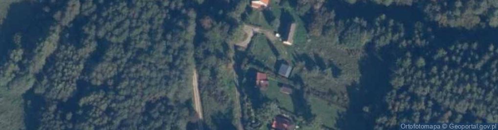Zdjęcie satelitarne Paraszyno