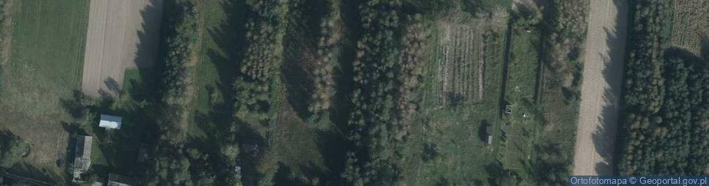 Zdjęcie satelitarne Podlas (województwo lubelskie)