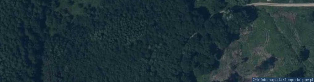 Zdjęcie satelitarne Pomielin