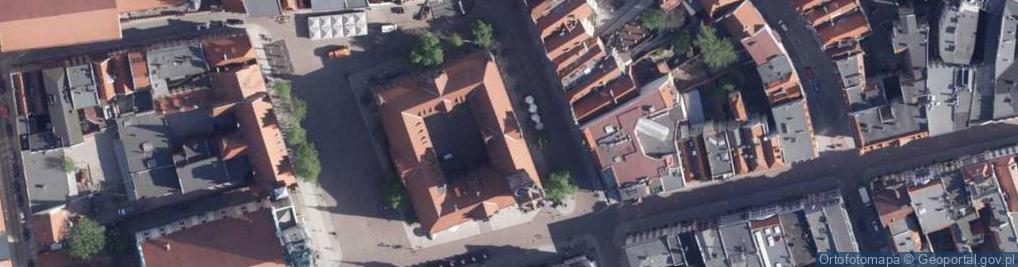 Zdjęcie satelitarne Pomnik Mikołaja Kopernika w Toruniu