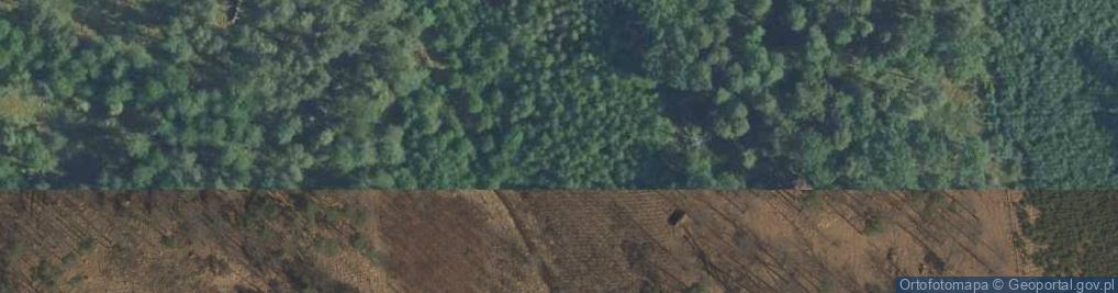 Zdjęcie satelitarne Puszcza Niepołomicka
