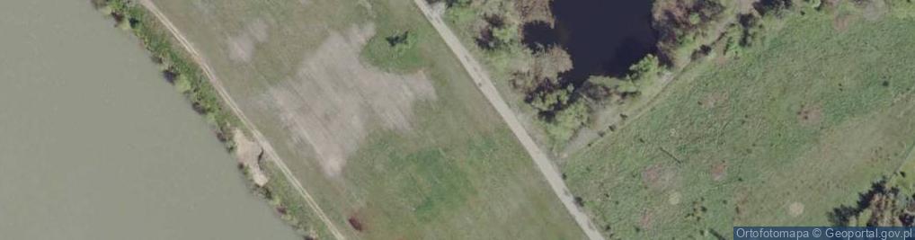 Zdjęcie satelitarne Puszczyków