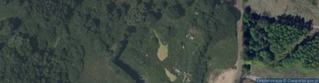Zdjęcie satelitarne Sąpy (powiat iławski)