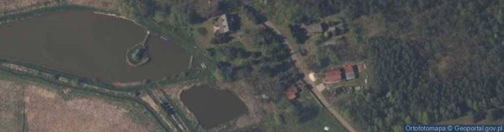 Zdjęcie satelitarne Sewerynów (powiat skierniewicki)