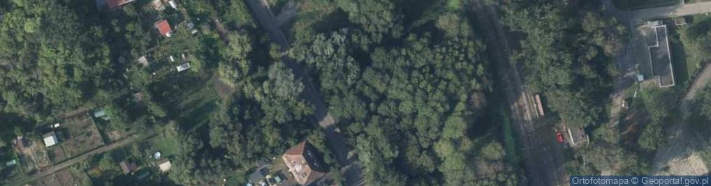 Zdjęcie satelitarne Skolwin