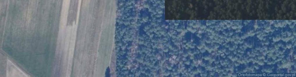 Zdjęcie satelitarne Sycyna Północna