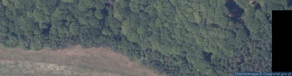 Zdjęcie satelitarne Trzciągowo