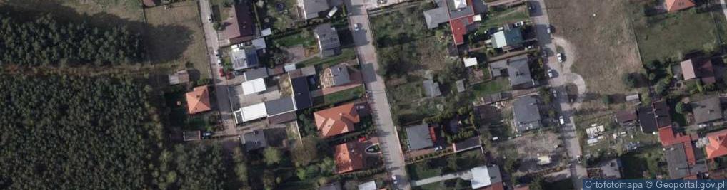 Zdjęcie satelitarne Trzciniec (gmina Białe Błota)