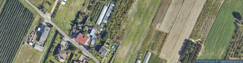 Zdjęcie satelitarne Urszulewo (powiat włocławski)