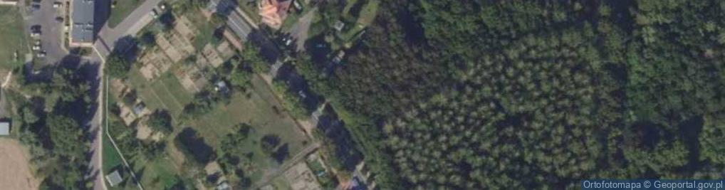Zdjęcie satelitarne Wapno (województwo wielkopolskie)