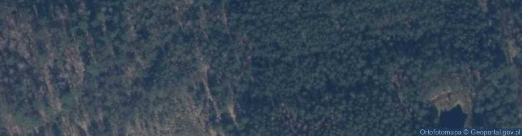 Zdjęcie satelitarne Wiązogóra