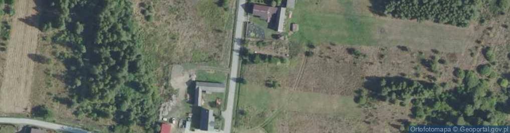 Zdjęcie satelitarne Wielka Wieś (powiat konecki)