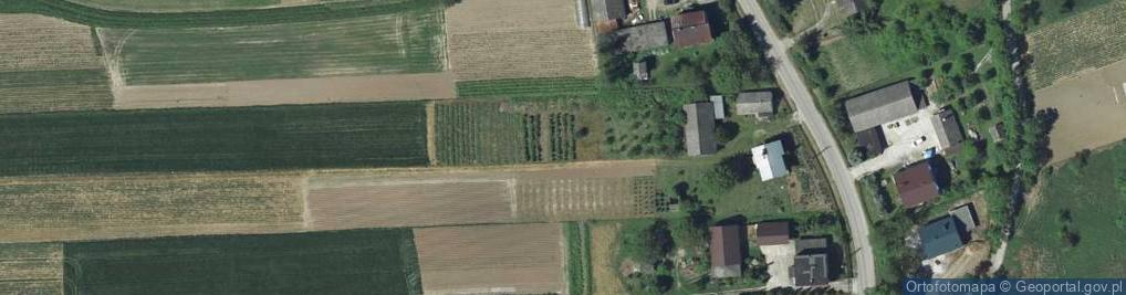 Zdjęcie satelitarne Wiktorowice